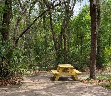 Longwood House | Spacious and relaxing Home - Longwood, Florida