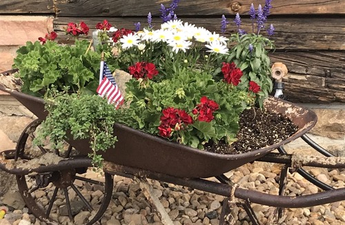 Allenspark Cabin | Spring get away near RMNP-Estes Park discounts available. Pet Friendly
