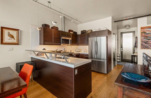 Carbondale Condo | The Haven Loft-Luxe Modern Condo