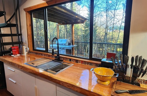 North Cowichan Bed & Breakfast | Unique experience, forest house, wild life viewing, Hot Tub/fire pit, pool tbl.