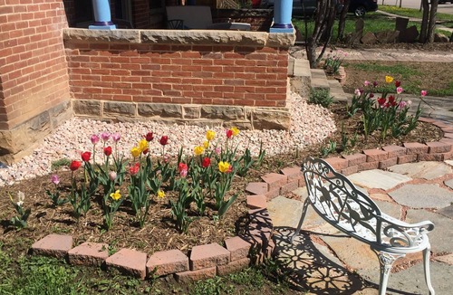 University North House | Updated Charming Victorian in Old Town near CSU!