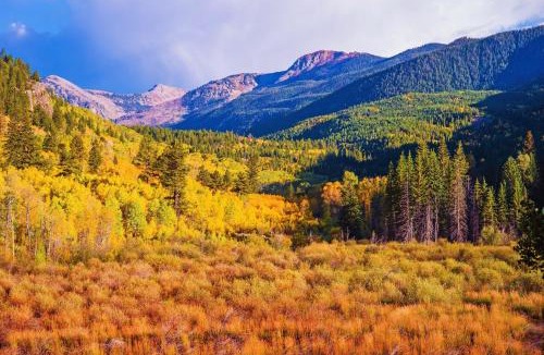 Intermountain Apartment | Valley View