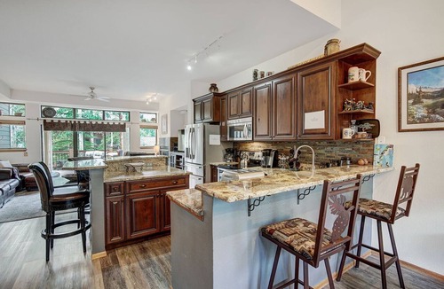 Warrior's Mark Villa | Village Point 201 in Breckenridge