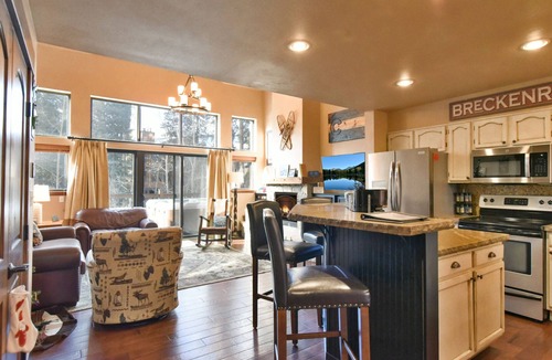 Warrior's Mark Ski Chalet | Village Point Buffalo Townhome Private Hot Tub Near Quick Silver Lift, In Breck