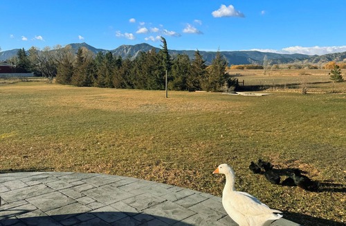 Boulder House | Welcome to Peaceful Pastures