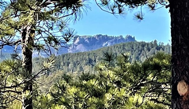 15 min to Mount Rushmore, Black Hills. in Keystone