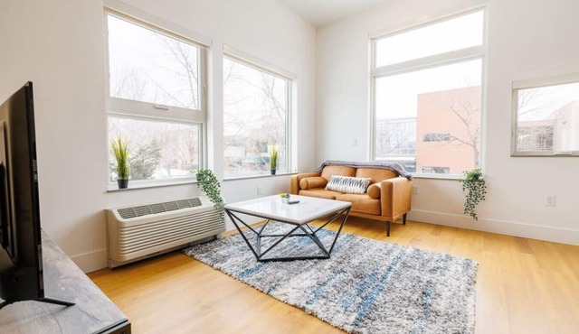 Adorable Cherry Creek Studio