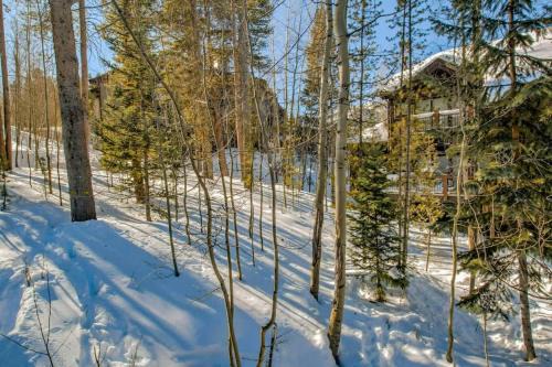 Breck Haven Luxury Townhome Private Spa