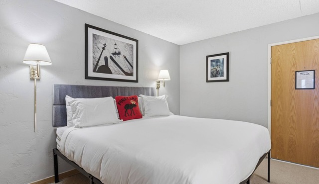 Dog Friendly Vail Lionshead Studio, LH Studio