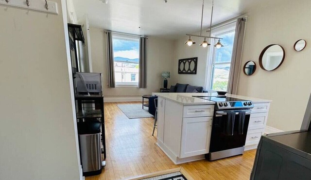 Downtown Digs penthouse with free parking! in Boise
