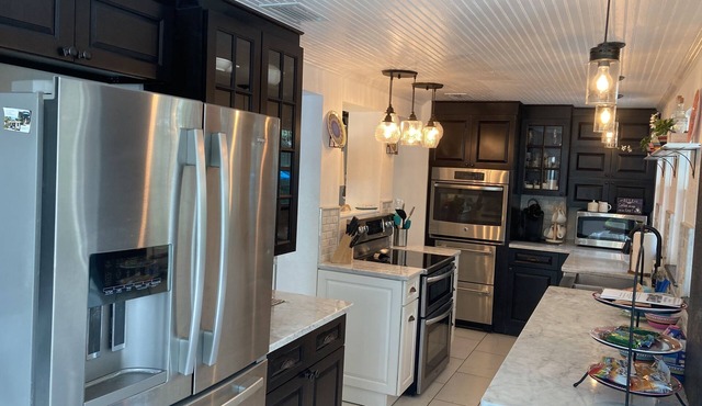 Dwntwn Ozona Bungalow! Dog friendly! 2 blocks to Pinellas Trail, brewery, eats! in Palm Harbor