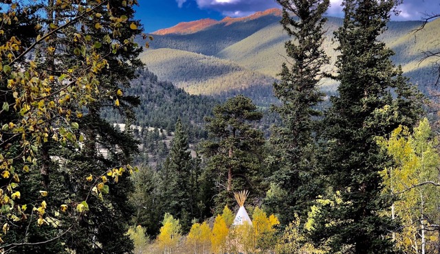 Enjoy a "Weekend in the Wild" in a Conestoga Wagon [1]