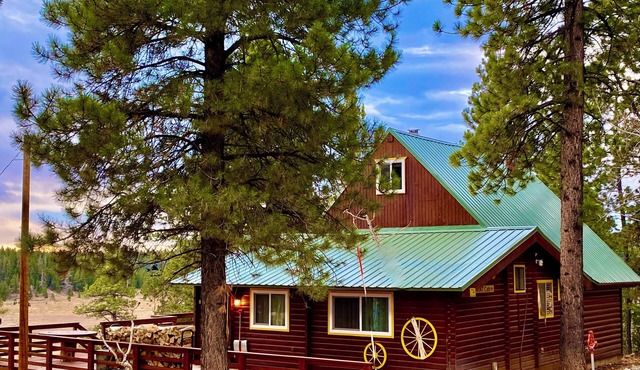 Family friendly! THAT Cabin with the AMAZING view!