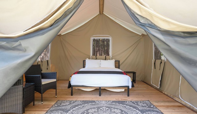 Glamp 15- Delicate Bluebell