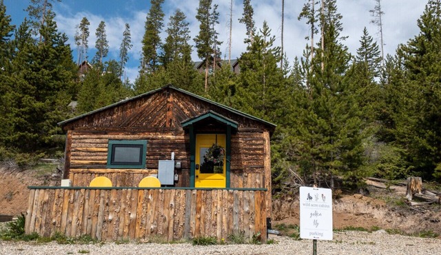 Golden Lily at Wild Acre Cabins