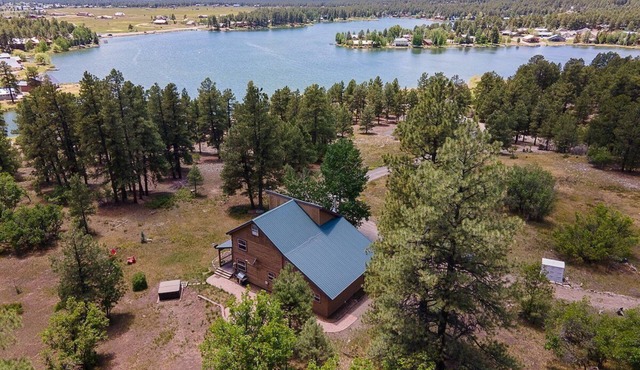 Hot Tub! Secluded Cabin, overlook Lake Pagosa on 39 acres, No Neighbors!