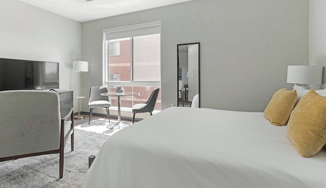 Landing | Stunning Studio in Fort Collins