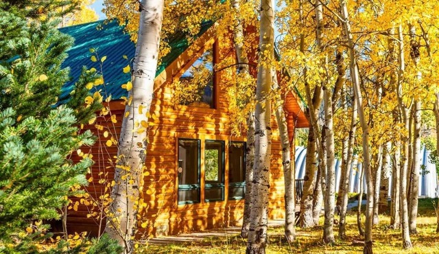 Lux Gore Pass Adventure Cabin with Hot Tub