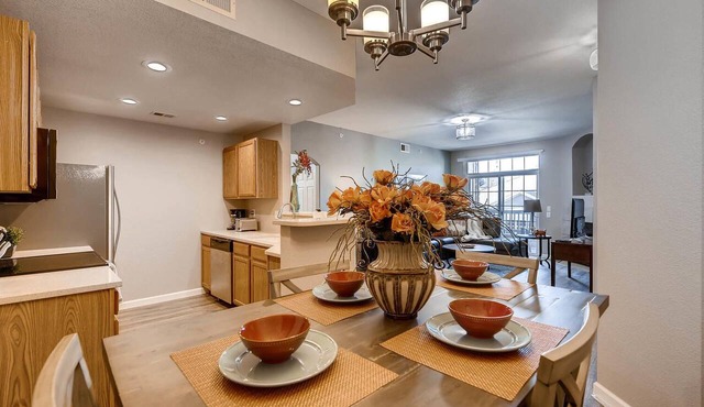 LUXURY FURNISHED CONDO, WHOLE FOODS, COSTCO, HOSPITALS, & CENTENNIAL AIRPORT
