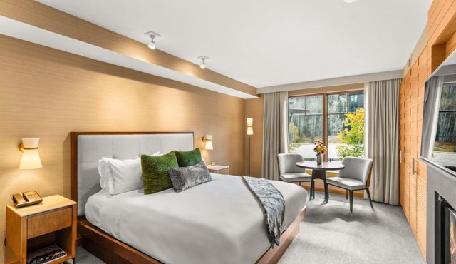 Luxury Resort Ski In Ski Out Studio