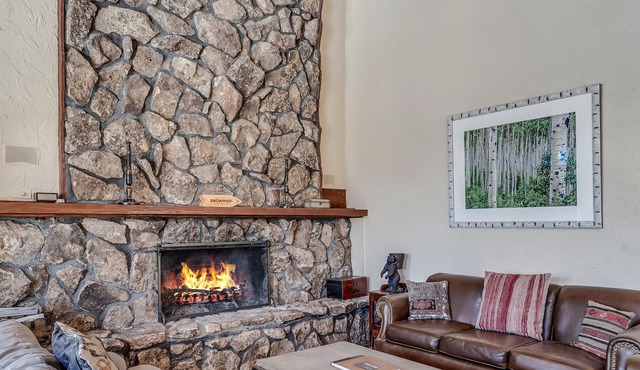 Mountain Lodge Near Snowmass Village - Hot Tub, Fire Pit & Ski Views