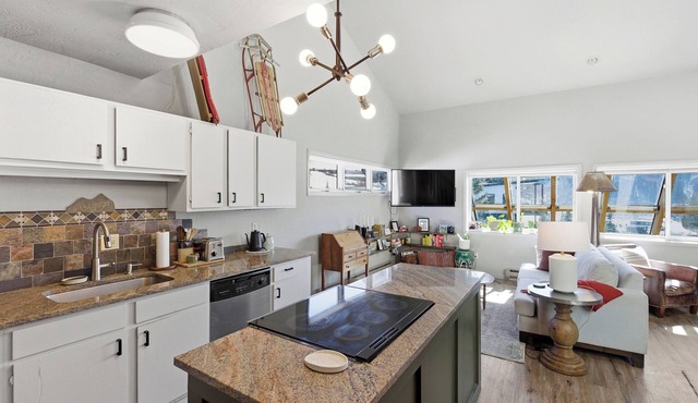 Mountain Retreat Pet Friendly Condo in Mt. Crested Butte