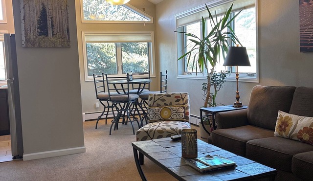 Newly renovated 1 BR located between Vail & Beaver Creek
