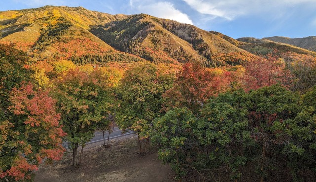 Outdoor Lover's dream