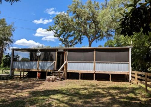 Peaceful Animal Sanctuary Farm Stay on Rescue Farm Near Gainesville & Jacksonville in Melrose, Florida in Melrose