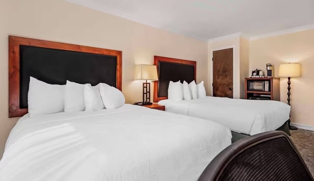 Pet-Friendly Standard Room | 2 Queens + Free Breakfast & Airport shuttle