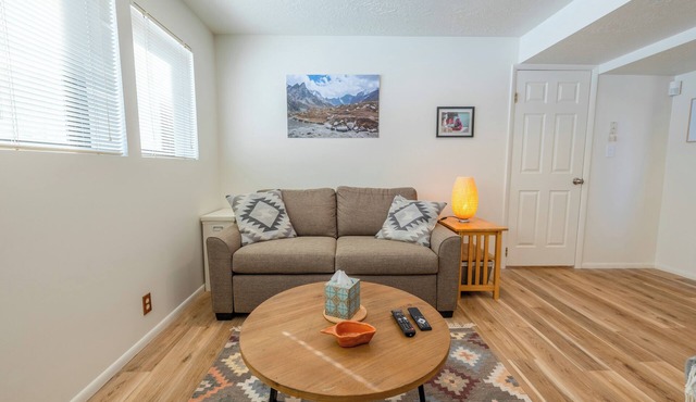 Powder Chaser's Dream Apartment