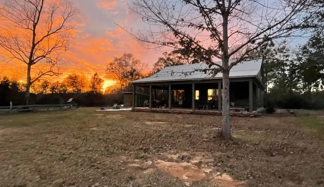 Private and peaceful setting surrounded by Longleaf Pines on the Perdido River in Perdido