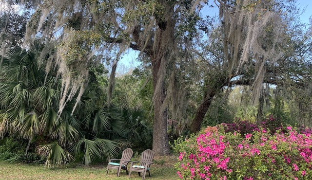 Rocket & Nature Lovers! Vintage European Cottage in a lush Florida Setting in Mims