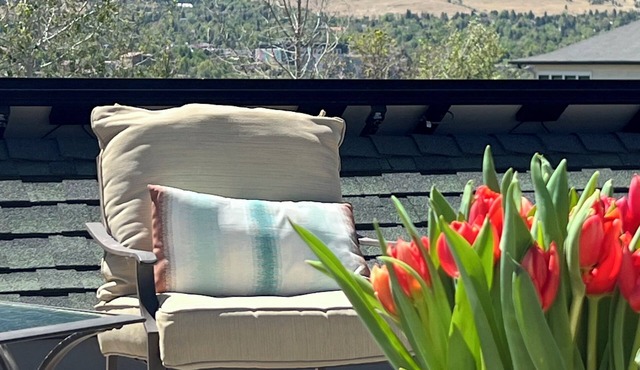 Roof deck, views, walk to Pearl, quiet neighborhood