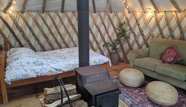 Rustic and cozy yurt on a farm in Dedham