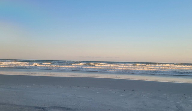 SeaWoods VILLA. WALK to the Beach! in New Smyrna Beach