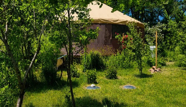 Secluded Off-Grid Yurt with Forest Access, Orchard & Gardens