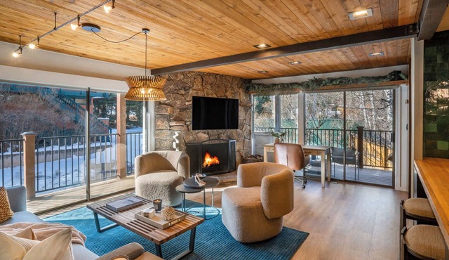Spacious & Central Aspen 1BR with AC!