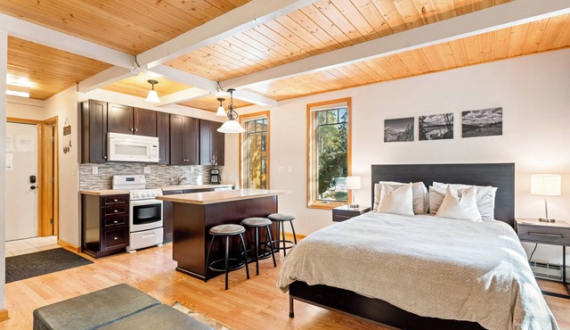 Studio in Great Area, Easy Walk to Town & Peak 9