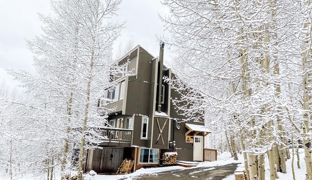 Summit County CO Mtn House- Beautiful Views - .6 acre trees-close to everything