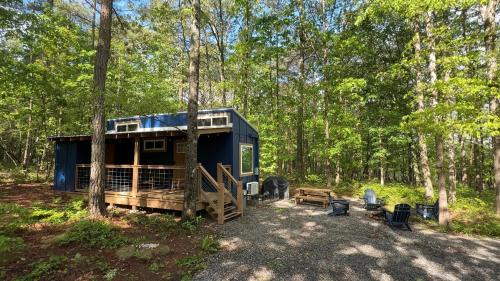 Tiny Cub House with Fast WiFi and Dog Friendly in Mentone