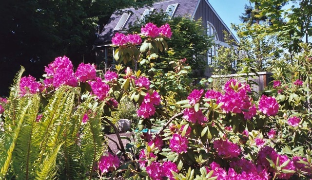 Tranquility and Peaceful Guest House Offers Guests A Quiet & Beautiful Getaway! in Bainbridge Island