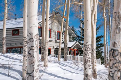 Trappers Cabin