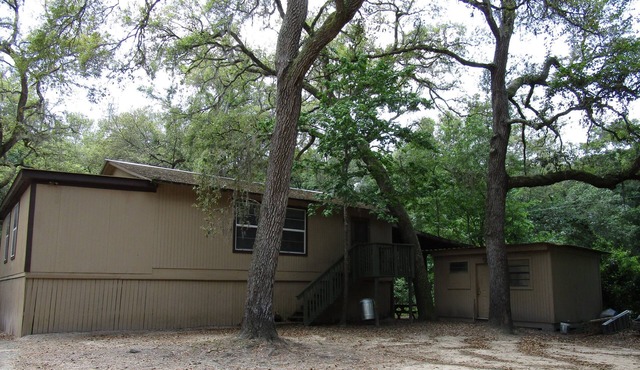Treehouse on the Suwannee River in Mayo