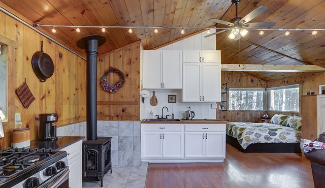 Two Wolves Cabin ~ Ski, Chill, Unwind! in Black Hawk