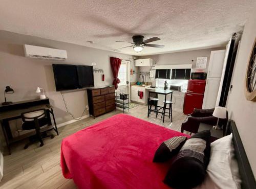 Units near USF - RubyRoom, RedRoom, Emerald Place in Tampa