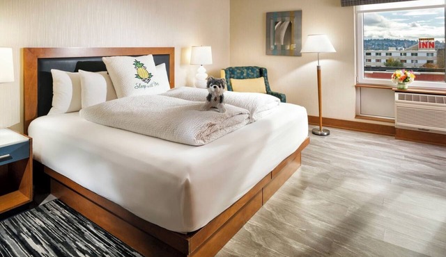 University District Stay | 1 King Bed | Near Roosevelt Way in Seattle