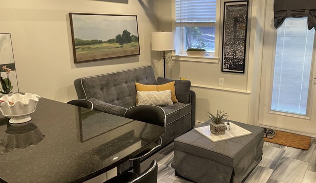 Walk to Coolidge Corner, MBTA, cafes and restaurants. Cozy & secluded in Brookline