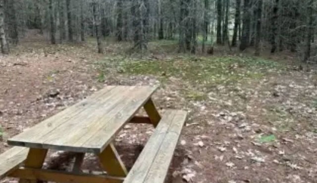 Watersrock Woods Camp Site 2 in Limerick