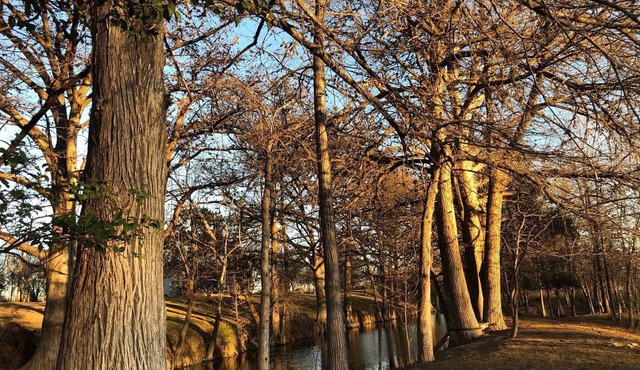 Wild Oak Ranch Cabin and Riverfront in Utopia